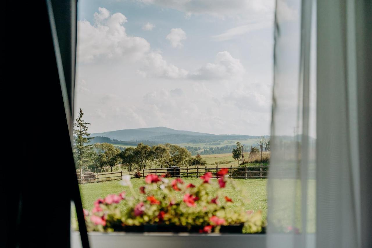 Jeleni Jar Apartamenty Duszniki Zdroj Exterior photo